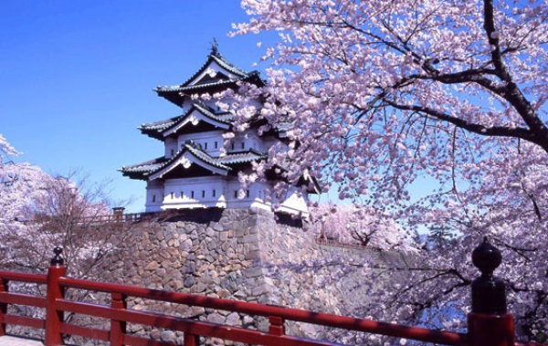Tour Du lịch Nhật Bản giá hấp dẫn