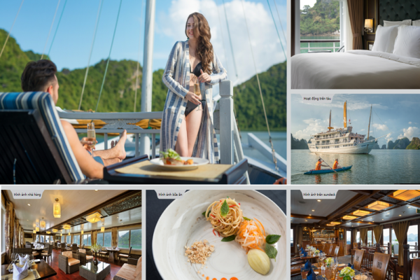 Review chi tiết Du thuyền hạng sang Paradise Luxury trên Vịnh Hạ Long