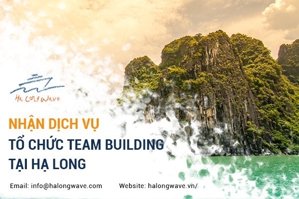 Lý do nên chọn Halongwave.vn là đơn vị tổ chức Team Building