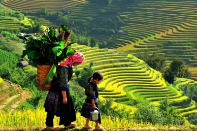 Tour Sapa – Cát Cát – Hàm Rồng – Cổng Trời – Thác Bạc – Trại cá hồi 2 ngày 1 đêm