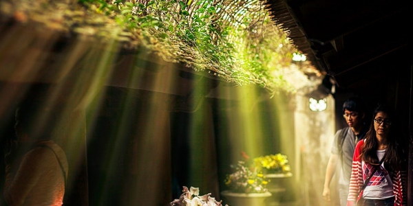 Du lịch Bãi Đính