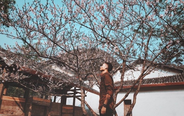 Hà Giang - Cao nguyên đá Đồng Văn 3 ngày 2 đêm