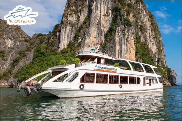 Tour Hạ Long 1 ngày – Review du khách & cách chọn hãng uy tín