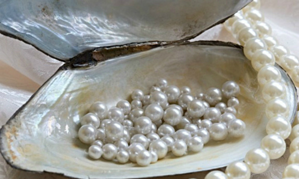 Làng nghề ngọc trai Tùng Sâu với những trải nghiệm thú vị